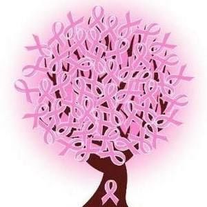 Meet your Posher, Lynnette